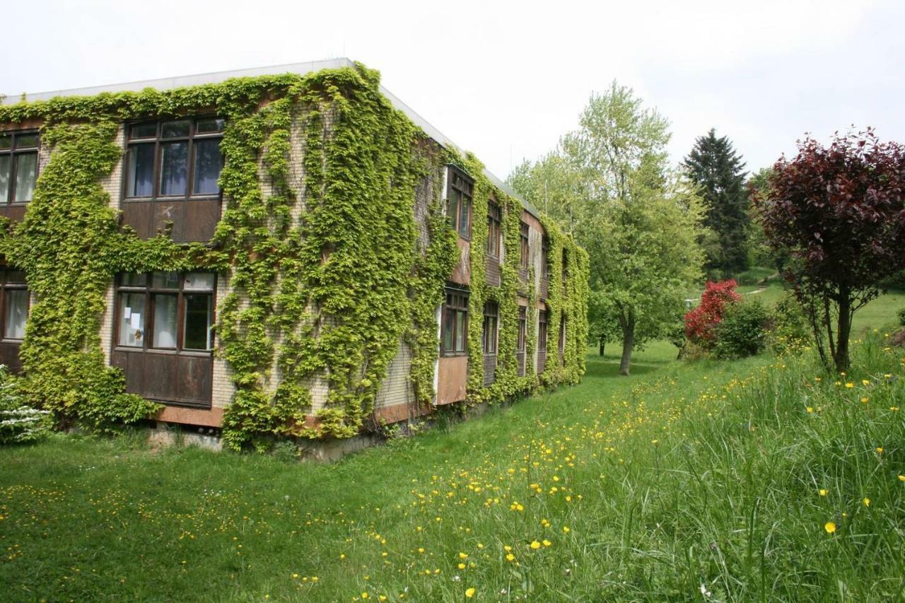 Talblick Appartement In Traumhafter Lage! Ober-Hambach المظهر الخارجي الصورة