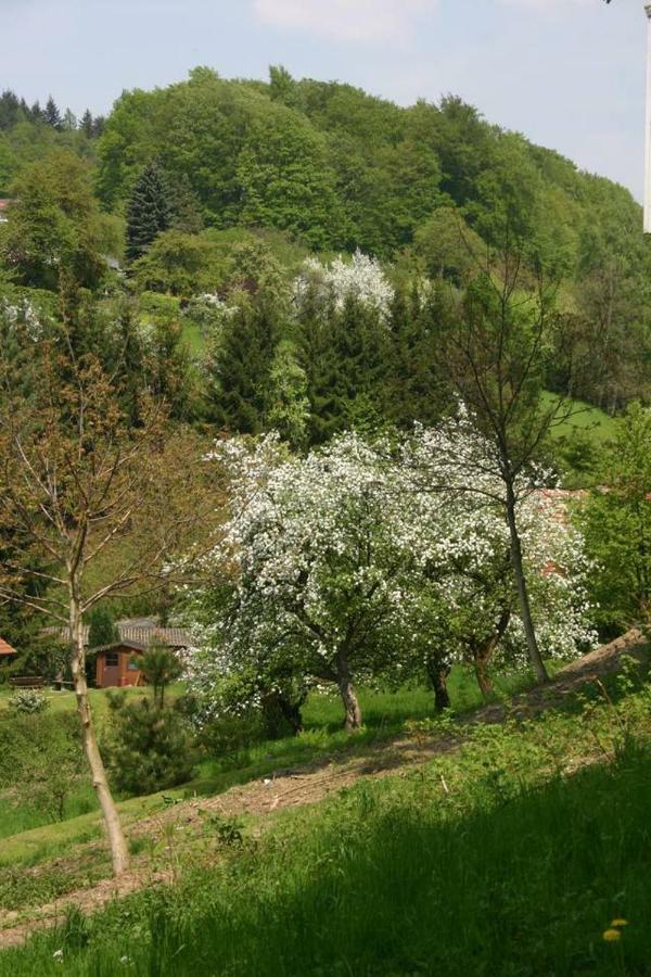 Talblick Appartement In Traumhafter Lage! Ober-Hambach المظهر الخارجي الصورة