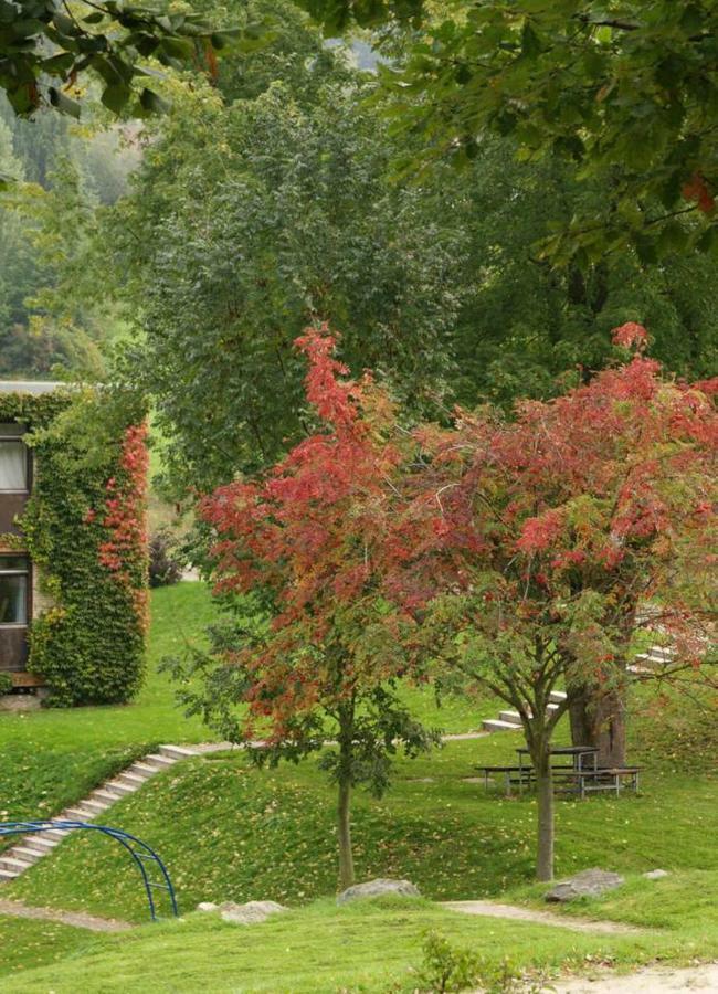 Talblick Appartement In Traumhafter Lage! Ober-Hambach المظهر الخارجي الصورة